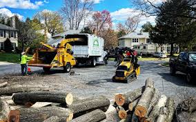 Theodore, AL Tree Services Company