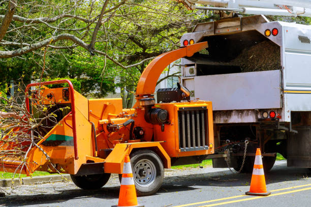 Why Choose Our Tree Removal Services in Theodore, AL?